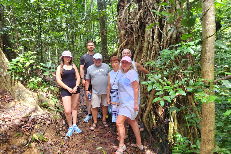 Whitsundays: Bushwalk Eco Adventure & 50s Diner Experience