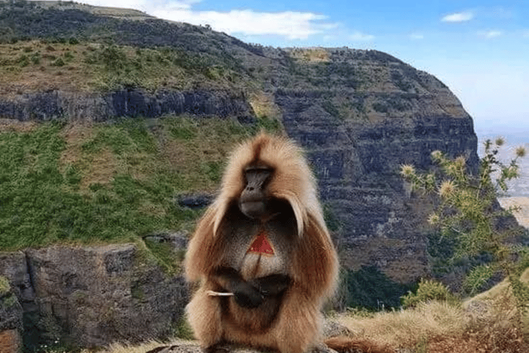 Addis Ababa: 8-Day Bahirdar, Gondar, Lalibela & Abune Yemata