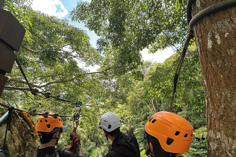Panama City: Canopy, a 10-line adventure circuit, Gamboa