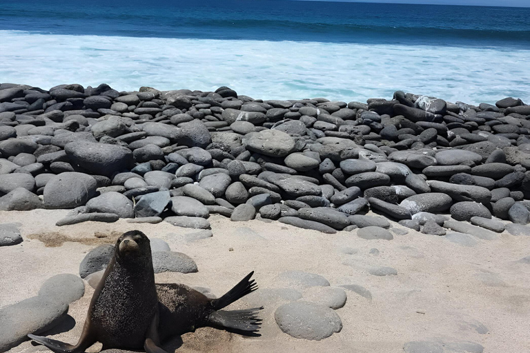 BEST BIRDWATCHING &amp; SNORKELING TOUR AT NORTH SEYMOUR ISLAND