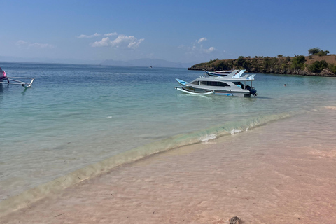 Lombok: pink beach snorkling trip with hotel pick up 2 Lombok: snorkling trip pink beach and explore pink beach