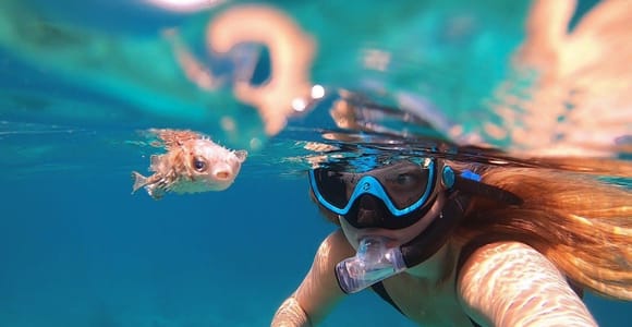 Muscat: Daymaniyat Island Snorkeling with Turtles Tour