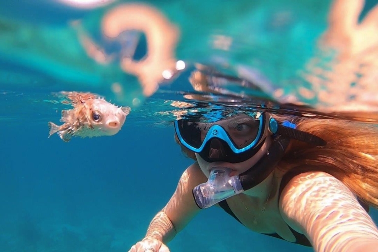ISLA DE DIMANIYAT Descubre el paraíso del snorkel en MascateRecorrido compartido