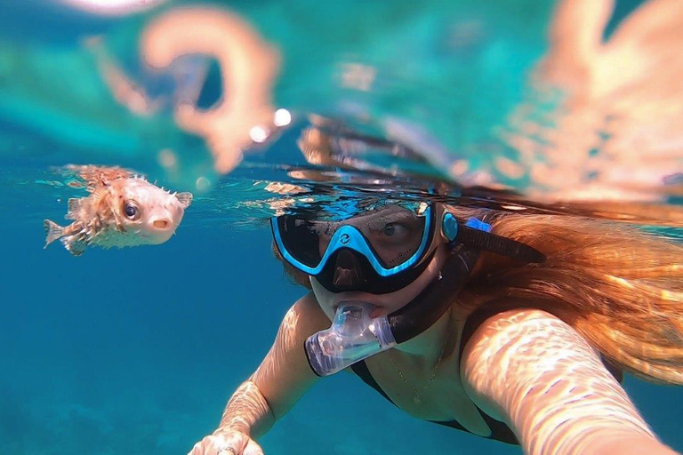 Muscat: tour di snorkeling dell&#039;isola di DaymaniyatServizio di prelievo e rientro in hotel