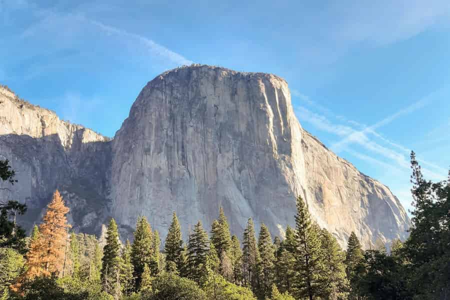 4-tägige Reise entlang der Westküste: Ankunft in Los Angeles, Abreise in San Francisco. Foto: GetYourGuide 4-tägige Reise entlang der Westküste: Ankunft in Los Angeles, Abreise in San Francisco. Foto: GetYourGuide