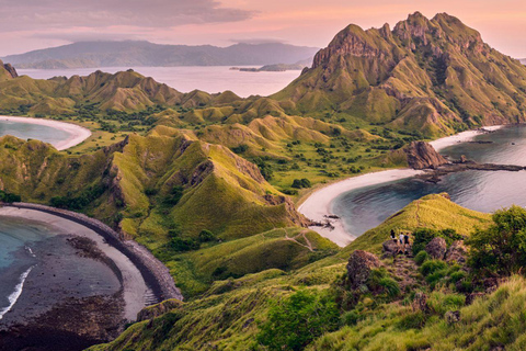 Excursion d'une journée à Komodo en bateau rapide