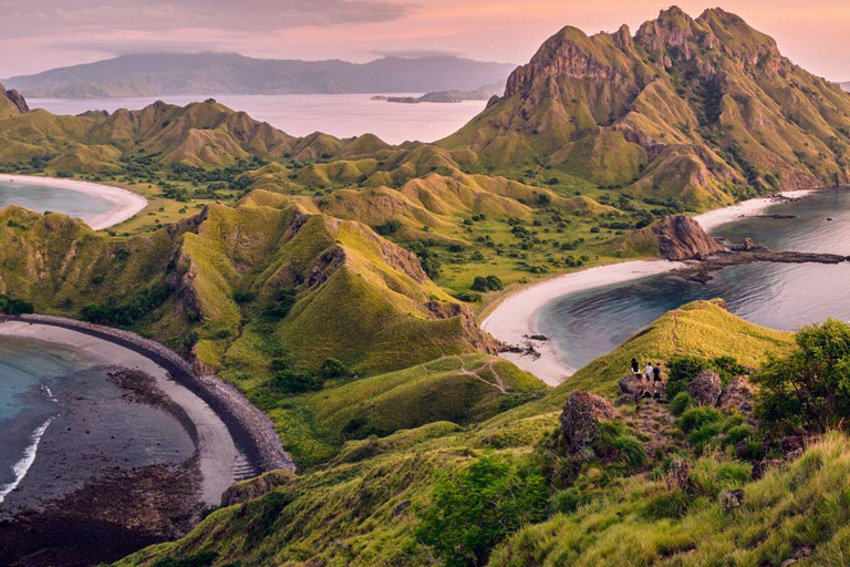 Eintägige Komodo-Tour mit dem Schnellboot