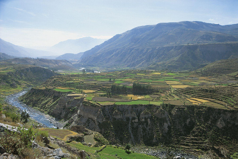 VISITE DE LA CAMPAGNE - AREQUIPA