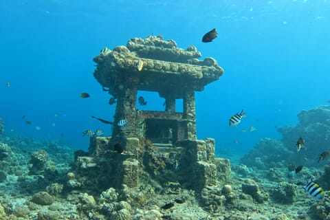 Amed: 5 Snorkeling Spots Tour with Boat Flexible Start Time