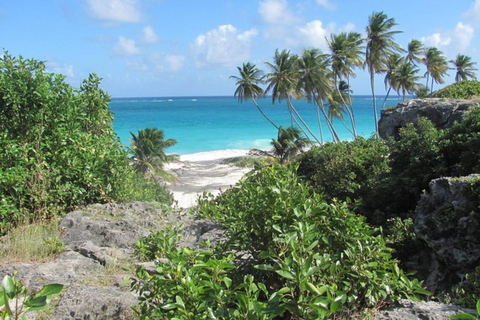 Barbados: Scenisk halvdagsutflykt från kust till kust