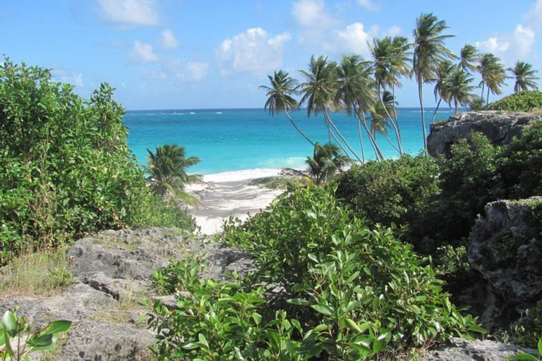 Barbados: Scenisk halvdagsutflykt från kust till kust