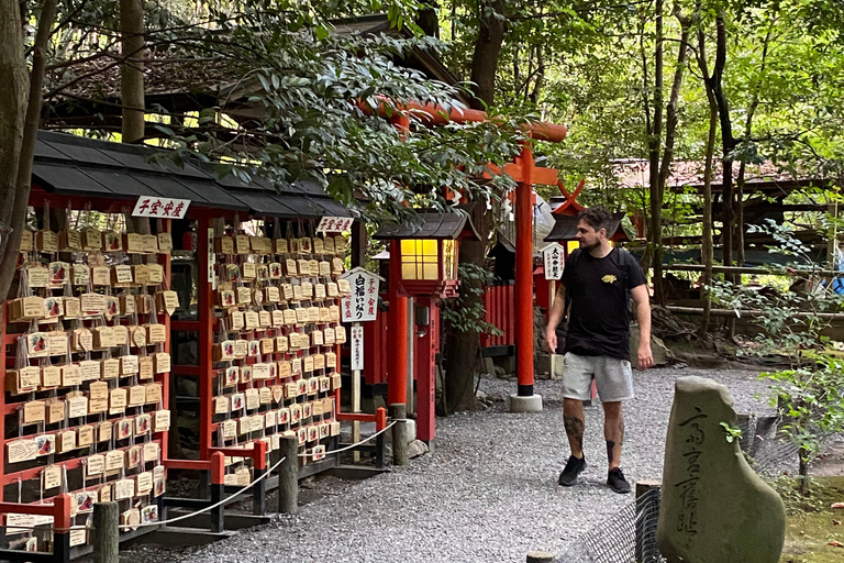 Entdecke Nara, Kiyozumi-dera &amp; Fushimi Inari von Osaka aus