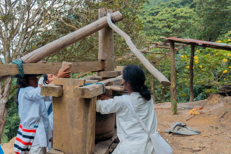 Santa Marta : excursion dans la sierra à la communauté indigène kogui (ULDEZHAXA)Santa Marta : Visite de la communauté indigène Kogui dans les hauts plateaux (ULDEZHAXA)