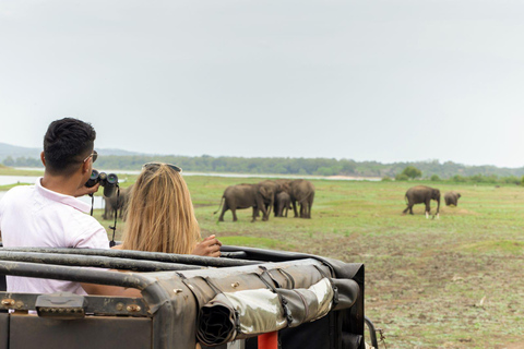Udawalawe Safari & Elephant Transit Home private Tour ALL INCLUSIVE from all pickup areas
