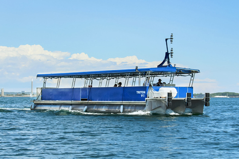 Toronto : croisière touristique du port et des îles