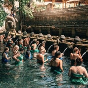 Ubud Abeskov Risterrasser Tempel Og Petanu Vandfald Getyourguide