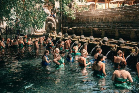 Ubud: Foresta delle scimmie, terrazze di riso, tempio e cascata PetanuUbud: Foresta delle scimmie, terrazze di riso, tempio e cascata di Petanu