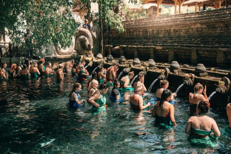Ubud: Foresta delle scimmie, terrazze di riso, tempio e cascata PetanuUbud: Foresta delle scimmie, terrazze di riso, tempio e cascata di Petanu