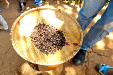 VIAGEM DE 1 DIA PARA AS CACHOEIRAS DE MATERUNI E PASSEIO DE CAFÉVocê pode optar por um almoço quente