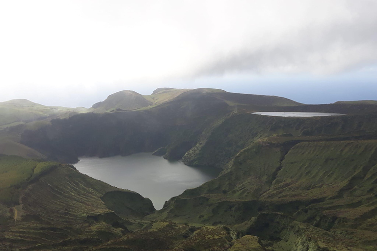 Flower Island: Van Tour