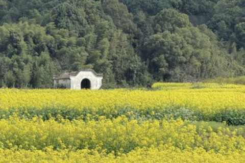 Shanghai: Tonglu Ancient Villages & Fruit-Picking Day Trip
