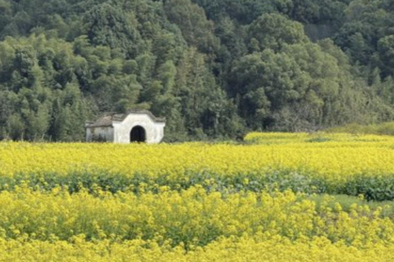 Shanghai: Tonglu Ancient Villages & Fruit-Picking Day Trip