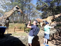 8 Days 7nights Kenya Kifaru Safari. - Housity