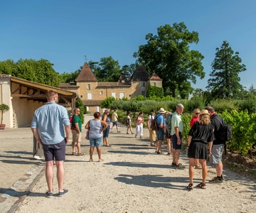 Bordeaux: Viagem de 1 dia para prova de vinhos nas vinhas