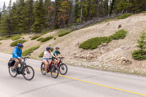 Banff: Mountain Lakeside Guided E-Bike Tour