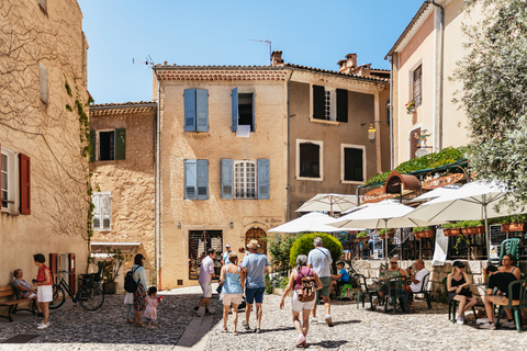 Nice: Gorges of Verdon and Fields of Lavender TourShared Tour