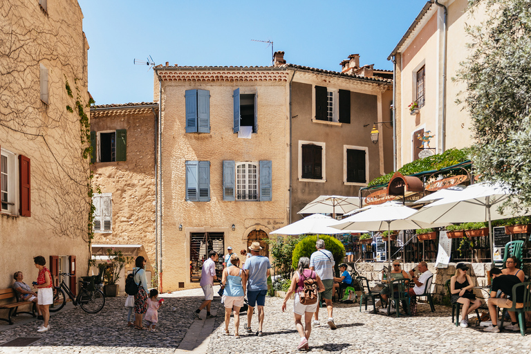 Da Nizza: tour dei campi di lavanda e delle gole del VerdonTour di gruppo