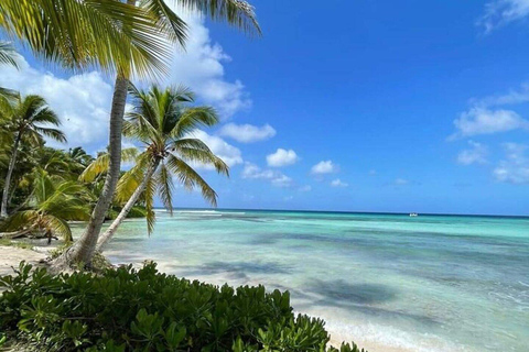 Punta Cana: Altos de Chavón & Catalina Island Tour