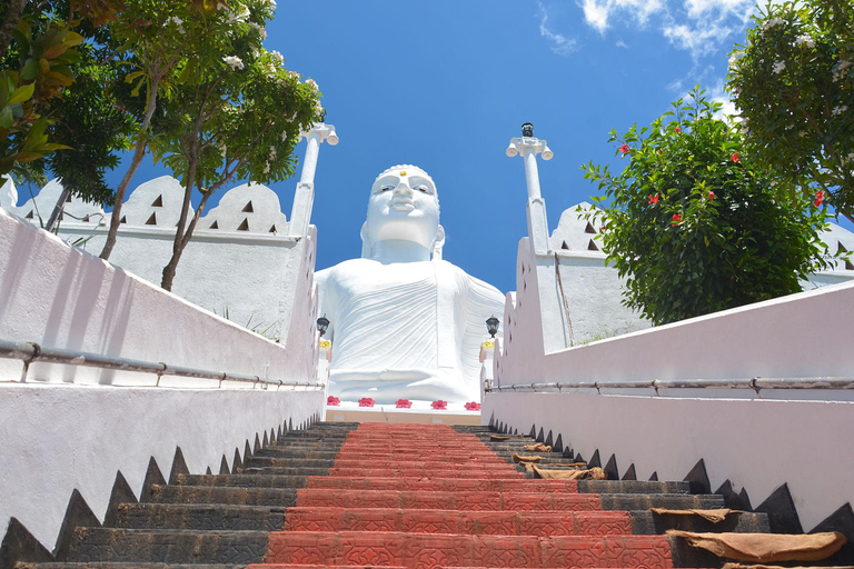 Kandy: Nuwara Eliya Scenic Tour & Ella Train Drop Experience