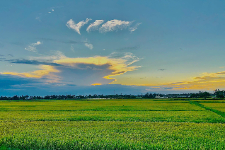 Hoi An: Countryside Bicycle Tour with Farm, Basket Boat Ride