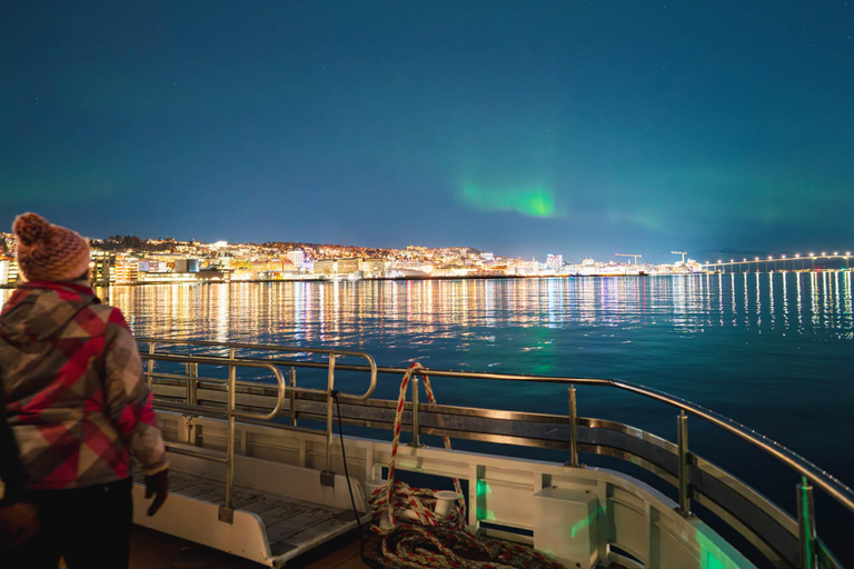 Tromsø: Electric Northern Lights Cruise