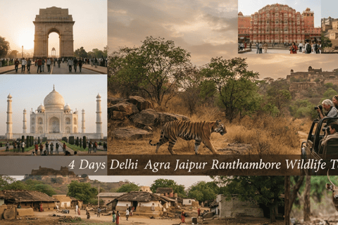 4 Days Delhi Agra Jaipur Ranthambore Wildlife Tour
