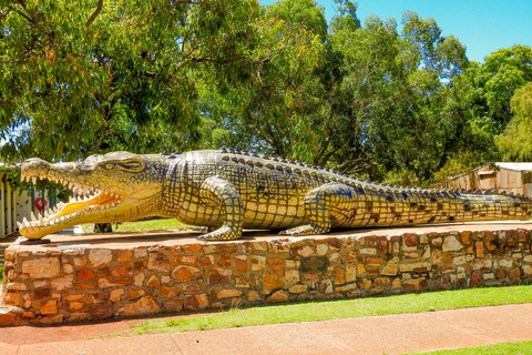 Darwin naar Cairns: 11 Daagse Rondreis Kakadu &amp; Golf Savannah