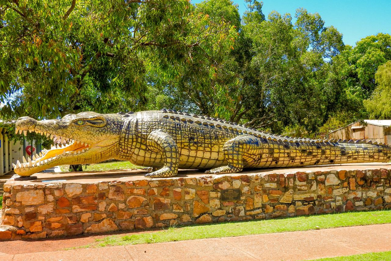 Darwin till Cairns: Kakadu &amp; Gulf Savannah 11-dagars rundtur