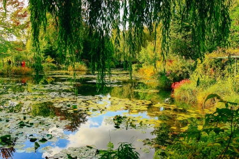 Half-Day Trip to Giverny from Paris Guided Tour in English