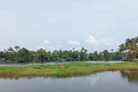 Kochi: City and Vaikom Village Tour with Homestay,Backwaters Kochi: City and Vaikom Village Tour with Homestay,Backwaters