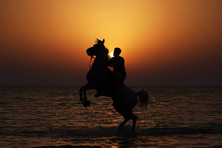 阿布扎比：胡代里亚特岛骑马体验与马共游