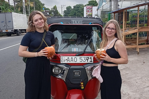 Kandy: Full-Day Tuk-Tuk Tour with Temples & Gardens by Local