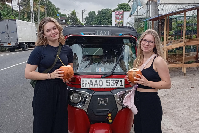 Kandy: Full-Day Tuk-Tuk Tour with Temples & Gardens by Local