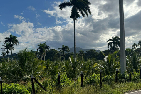 Puerto Plata: El Gallo Ecolodge Day Pass with Lunch