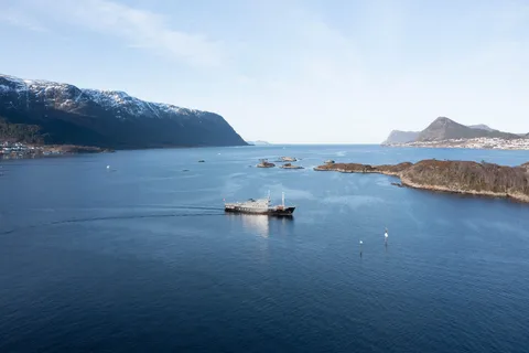 Ålesund: Archipelago Fjord Cruise