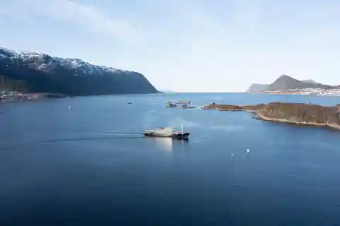 Ålesund: Archipel Fjord Cruise