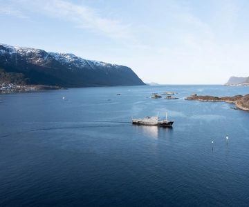 Ålesund: Crociera nei fiordi dell'arcipelago