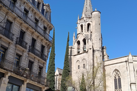 Avignon: Food & Wine Walk | Gourmet Taste & Local Vibes