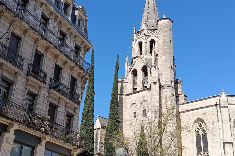 Avignon: Food & Wine Walk | Gourmet Taste & Local Vibes