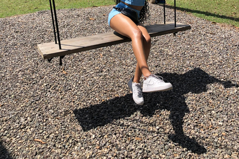 Montego Bay: ATV, Zipline, Catamaran, and Horseback Tour